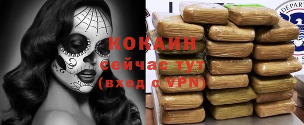 гидра Каменногорск