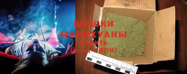 гидра Каменногорск