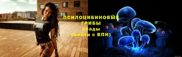 гидра Каменногорск
