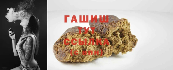 гидра Каменногорск