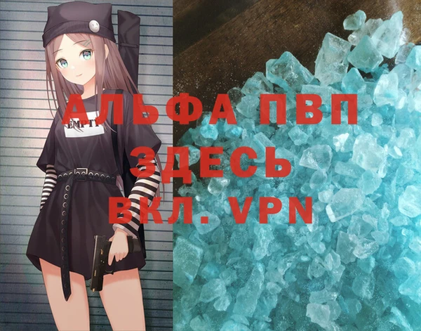 гидра Каменногорск