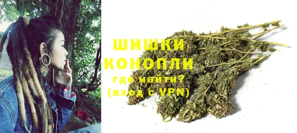 гидра Каменногорск
