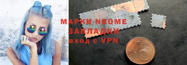 гидра Каменногорск